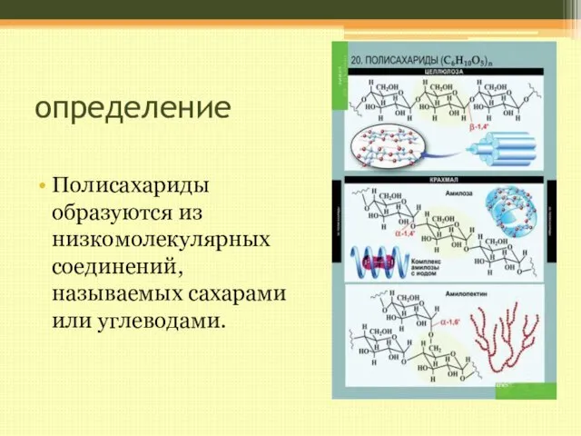 определение Полисахариды образуются из низкомолекулярных соединений, называемых сахарами или углеводами.