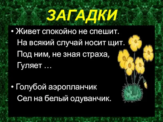 ЗАГАДКИ Живет спокойно не спешит. На всякий случай носит щит. Под ним,