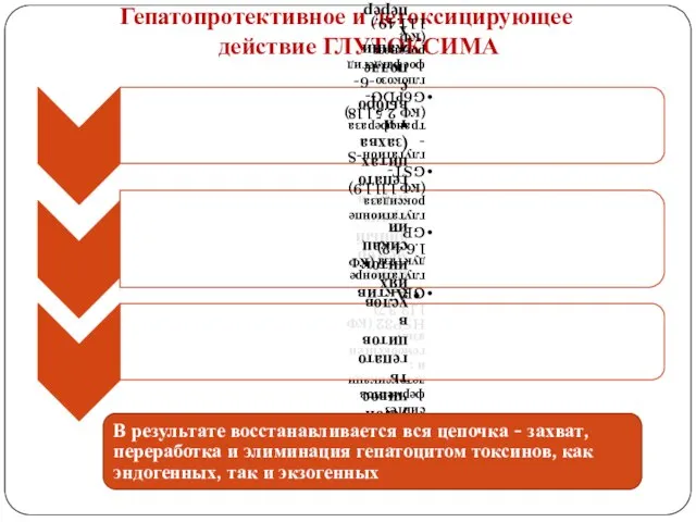 Гепатопротективное и детоксицирующее действие ГЛУТОКСИМА В результате восстанавливается вся цепочка - захват,