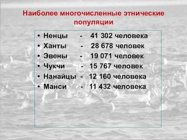 Наиболее многочисленные этнические популяции Ненцы - 41 302 человека Ханты - 28