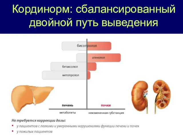 Кординорм: сбалансированный двойной путь выведения