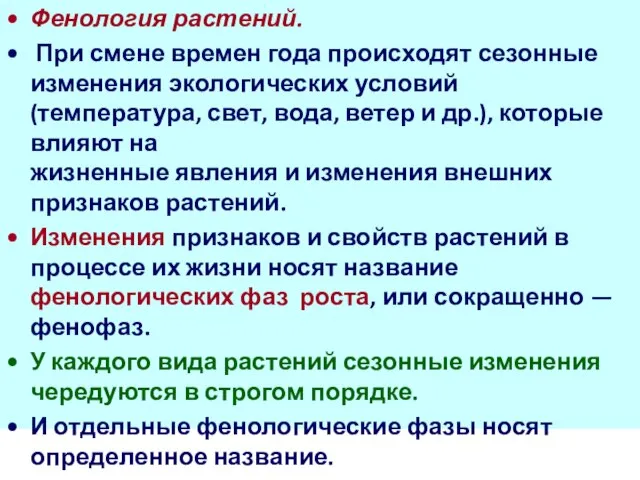 Фенология растений. При смене времен года происходят сезонные изменения экологических условий (температура,