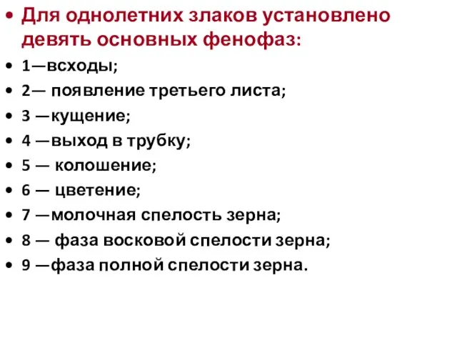 Для однолетних злаков установлено девять основных фенофаз: 1—всходы; 2— появление третьего листа;