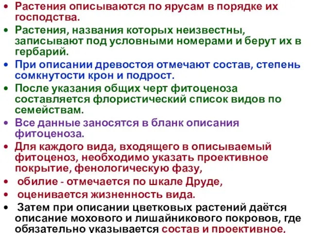 Растения описываются по ярусам в порядке их господства. Растения, названия которых неизвестны,