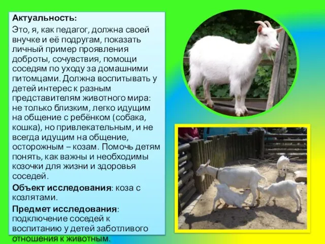 Актуальность: Это, я, как педагог, должна своей внучке и её подругам, показать