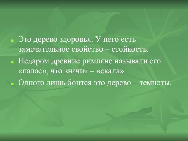 Это дерево здоровья. У него есть замечательное свойство – стойкость. Недаром древние