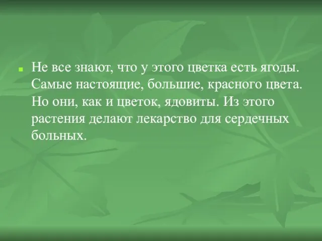 Не все знают, что у этого цветка есть ягоды. Самые настоящие, большие,