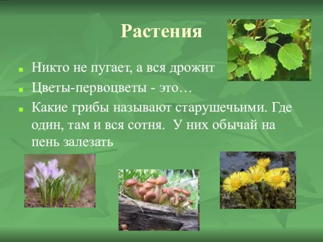 Растения Никто не пугает, а вся дрожит Цветы-первоцветы - это… Какие грибы