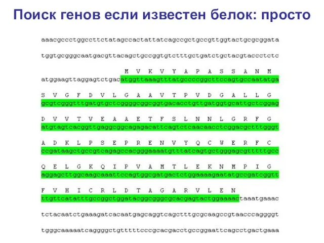 Поиск генов если известен белок: просто