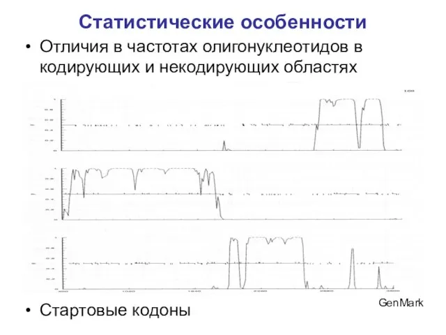 Статистические особенности Отличия в частотах олигонуклеотидов в кодирующих и некодирующих областях Стартовые кодоны GenMark