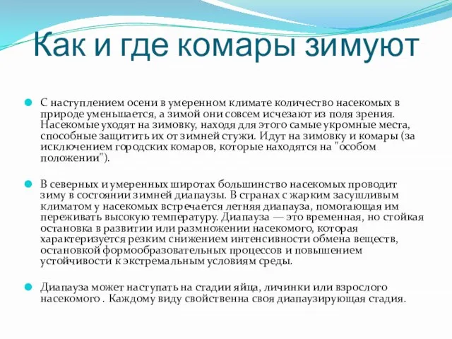 Как и где комары зимуют С наступлением осени в умеренном климате количество