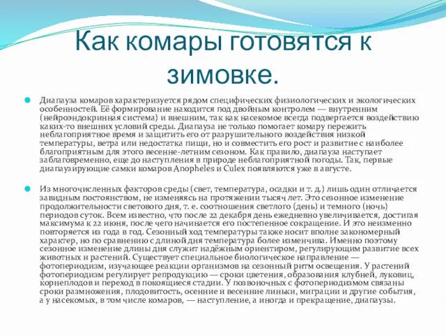 Как комары готовятся к зимовке. Диапауза комаров характеризуется рядом специфических физиологических и