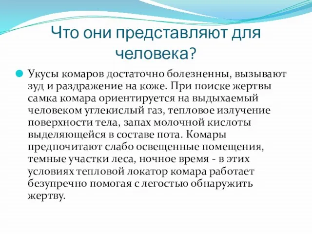 Что они представляют для человека? Укусы комаров достаточно болезненны, вызывают зуд и