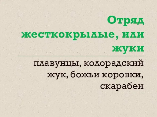 Отряд жесткокрылые, или жуки плавунцы, колорадский жук, божьи коровки, скарабеи