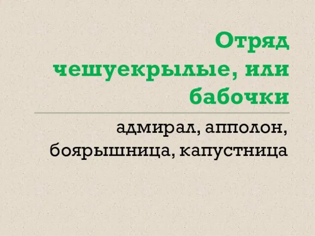 Отряд чешуекрылые, или бабочки адмирал, апполон, боярышница, капустница