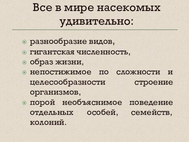 Все в мире насекомых удивительно: разнообразие видов, гигантская численность, образ жизни, непостижимое