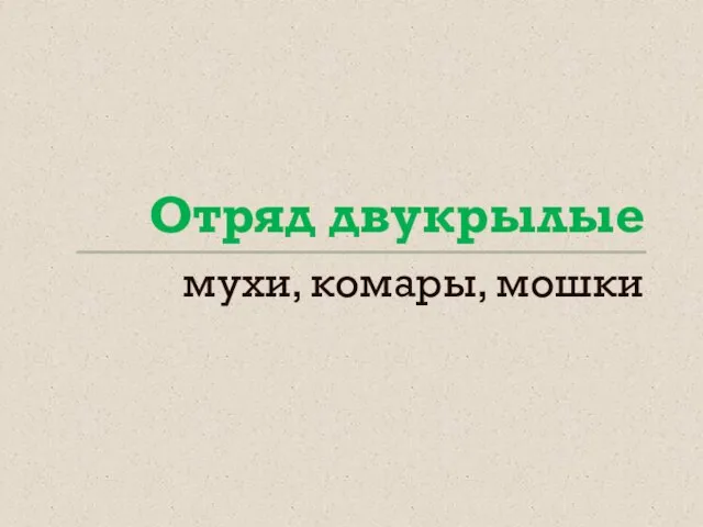 Отряд двукрылые мухи, комары, мошки