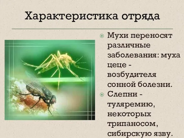 Мухи переносят различные заболевания: муха цеце - возбудителя сонной болезни. Слепни -