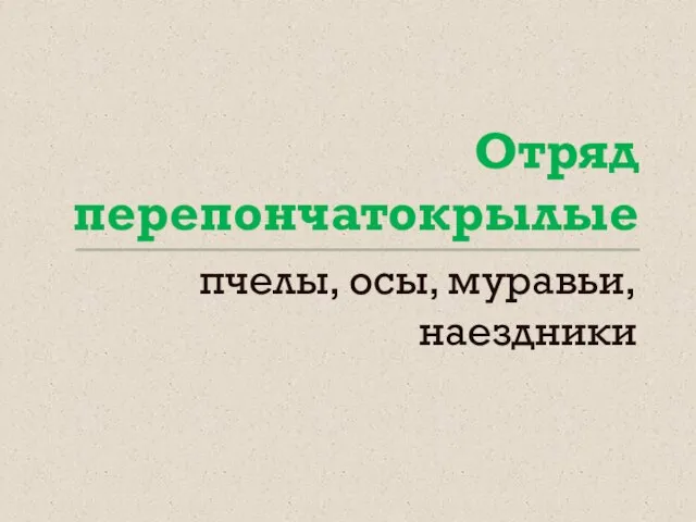 Отряд перепончатокрылые пчелы, осы, муравьи, наездники