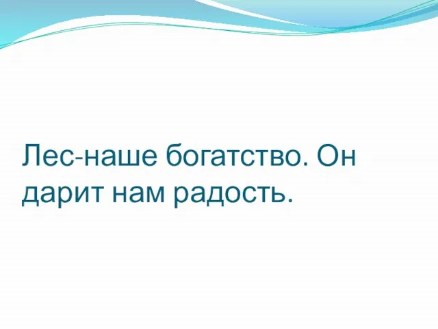 Лес-наше богатство. Он дарит нам радость.