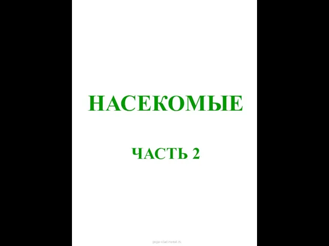 НАСЕКОМЫЕ ЧАСТЬ 2 Насекомые часть 2 papa-vlad.narod.ru