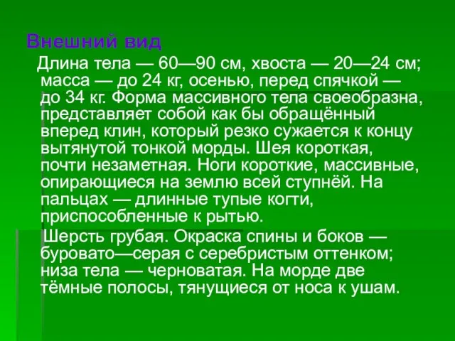 Внешний вид Длина тела — 60—90 см, хвоста — 20—24 см; масса