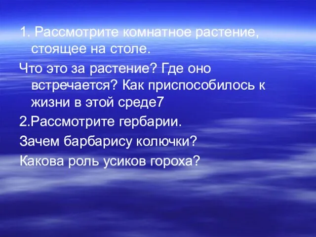 1. Рассмотрите комнатное растение, стоящее на столе. Что это за растение? Где