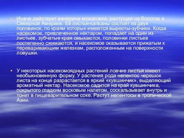 Иначе действует венерина мухоловка, растущая на болотах в Северной Америке. Её листья-капканы