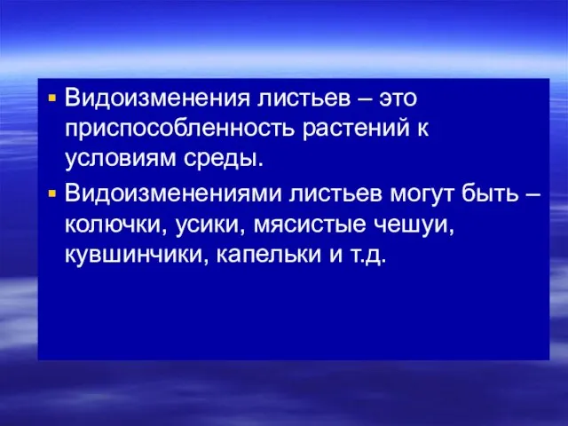 Видоизменения листьев – это приспособленность растений к условиям среды. Видоизменениями листьев могут