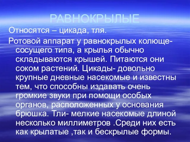 РАВНОКРЫЛЫЕ Относятся – цикада, тля. Ротовой аппарат у равнокрылых колюще-сосущего типа, а