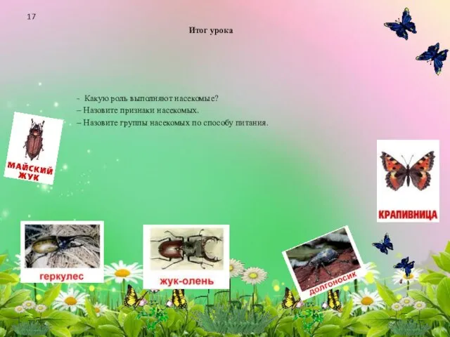 Итог урока - Какую роль выполняют насекомые? – Назовите признаки насекомых. –