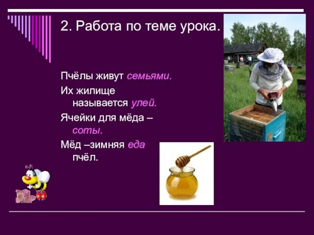 2. Работа по теме урока. Пчёлы живут семьями. Их жилище называется улей.