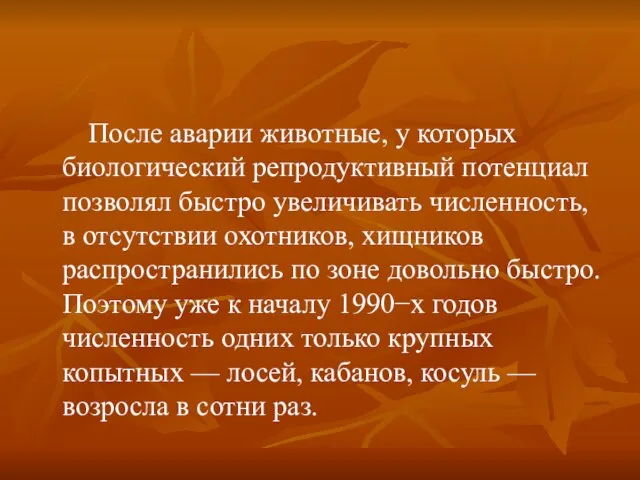 После аварии животные, у которых биологический репродуктивный потенциал позволял быстро увеличивать численность,