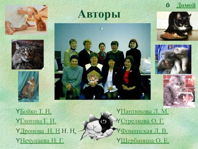 Авторы Бойко Т. Н. Глотова Г. И. Дронова Н. Н Н. Н.