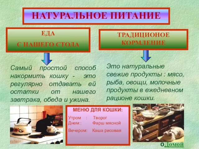 НАТУРАЛЬНОЕ ПИТАНИЕ ЕДА С НАШЕГО СТОЛА ТРАДИЦИОНОЕ КОРМЛЕНИЕ Самый простой способ накормить