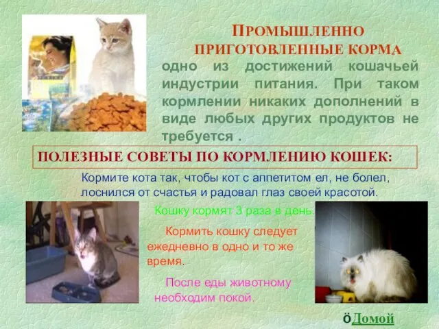 ПРОМЫШЛЕННО ПРИГОТОВЛЕННЫЕ КОРМА одно из достижений кошачьей индустрии питания. При таком кормлении