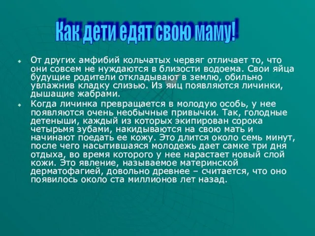 От других амфибий кольчатых червяг отличает то, что они совсем не нуждаются