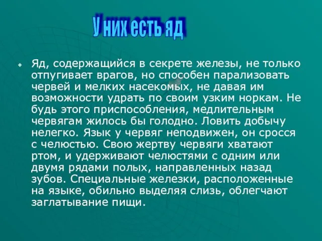 Яд, содержащийся в секрете железы, не только отпугивает врагов, но способен парализовать