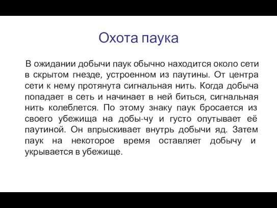 Охота паука В ожидании добычи паук обычно находится около сети в скрытом