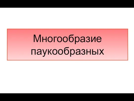 Многообразие паукообразных