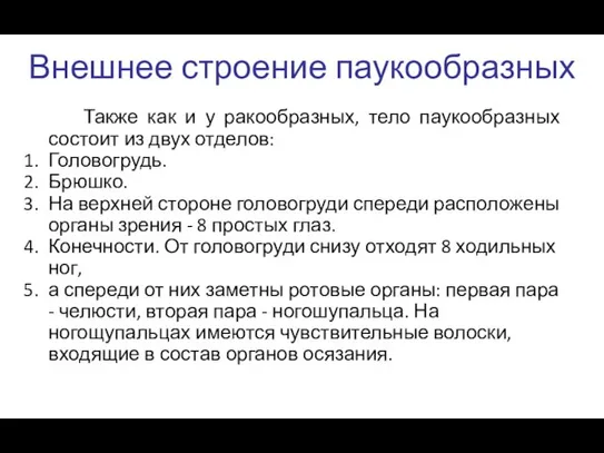 Внешнее строение паукообразных Также как и у ракообразных, тело паукообразных состоит из