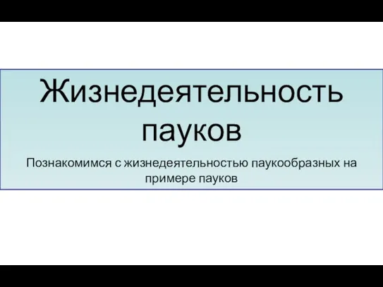 Жизнедеятельность пауков Познакомимся с жизнедеятельностью паукообразных на примере пауков