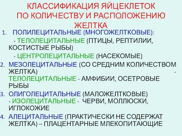 КЛАССИФИКАЦИЯ ЯЙЦЕКЛЕТОК ПО КОЛИЧЕСТВУ И РАСПОЛОЖЕНИЮ ЖЕЛТКА 1. ПОЛИЛЕЦИТАЛЬНЫЕ (МНОГОЖЕЛТКОВЫЕ): - ТЕЛОЛЕЦИТАЛЬНЫЕ