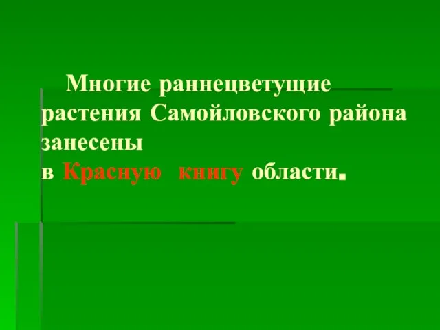 Многие раннецветущие растения Самойловского района занесены в Красную книгу области.