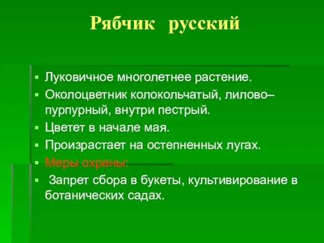 Рябчик русский Луковичное многолетнее растение. Околоцветник колокольчатый, лилово– пурпурный, внутри пестрый. Цветет