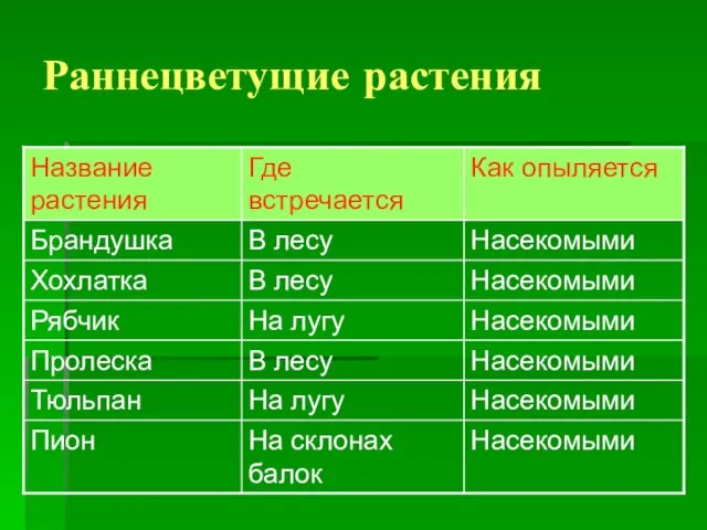 Раннецветущие растения