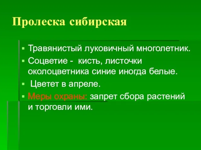 Пролеска сибирская Травянистый луковичный многолетник. Соцветие - кисть, листочки околоцветника синие иногда