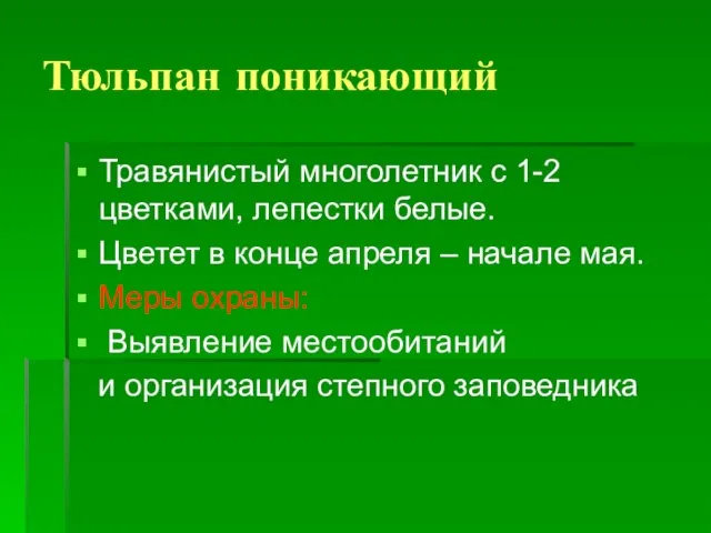 Тюльпан поникающий Травянистый многолетник с 1-2 цветками, лепестки белые. Цветет в конце