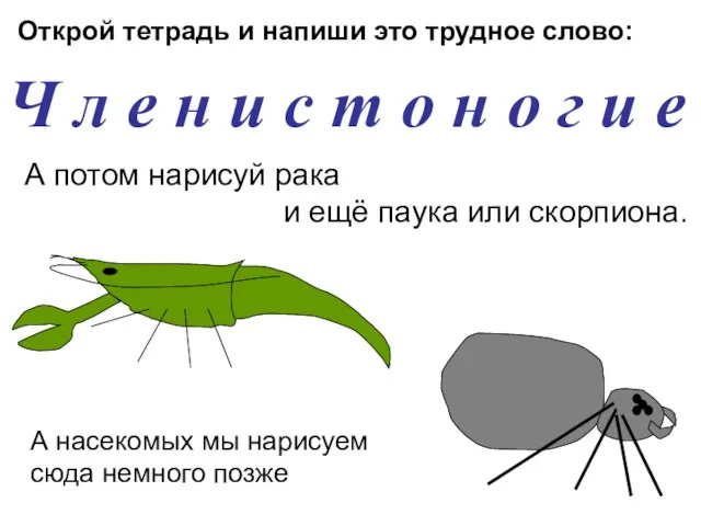 Открой тетрадь и напиши это трудное слово: Ч л е н и