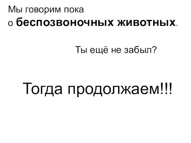 Мы говорим пока о беспозвоночных животных. Ты ещё не забыл? Тогда продолжаем!!!